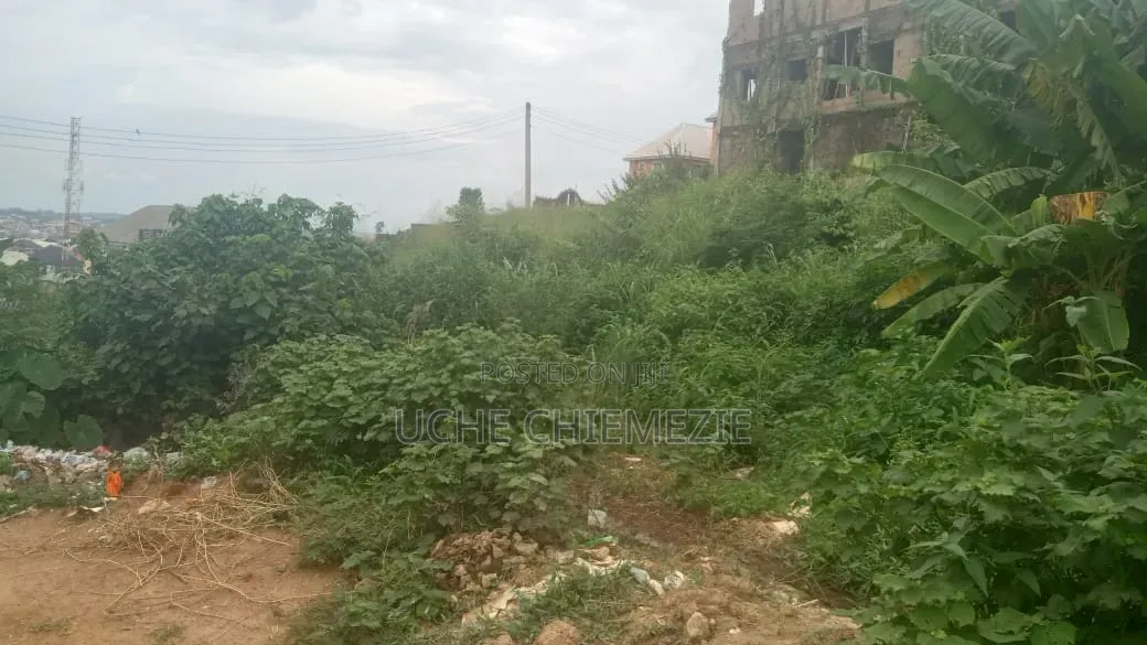 Affordable Partly Fenced Table Land for Sale at Ikirike