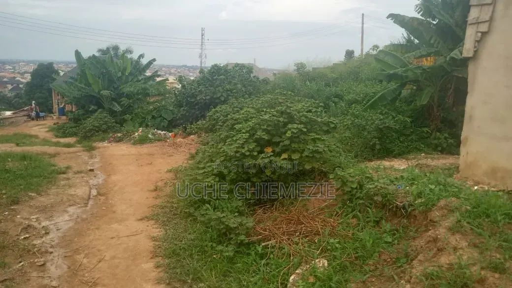 Affordable Partly Fenced Table Land for Sale at Ikirike
