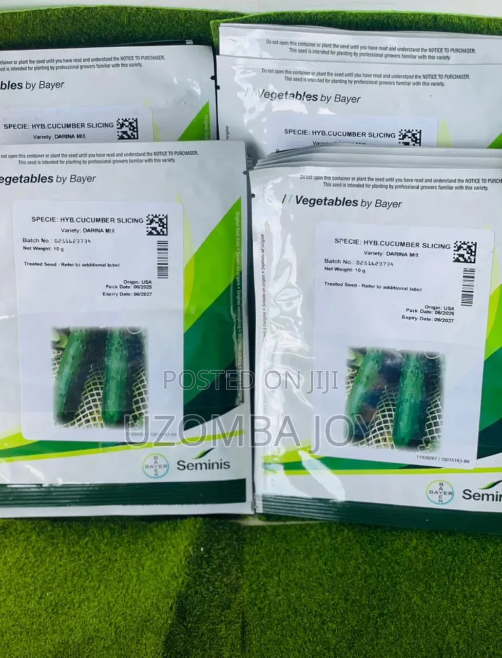 Darina Cucumber 10g