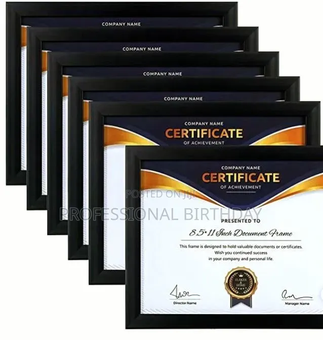 Recognition Awards and Certificate of Excellence, Lagos