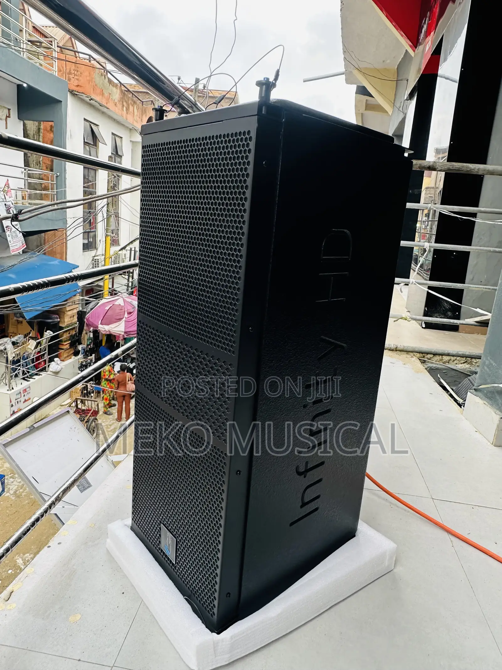Infinity 10” Line Array Speaker