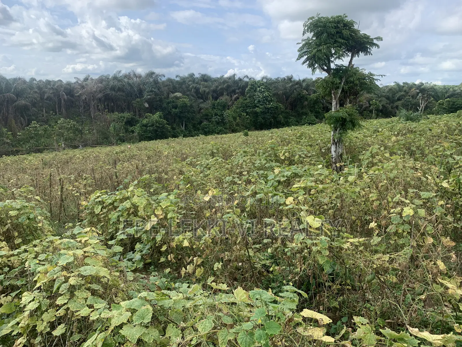 4760sqm Land Facing Express in Ajah