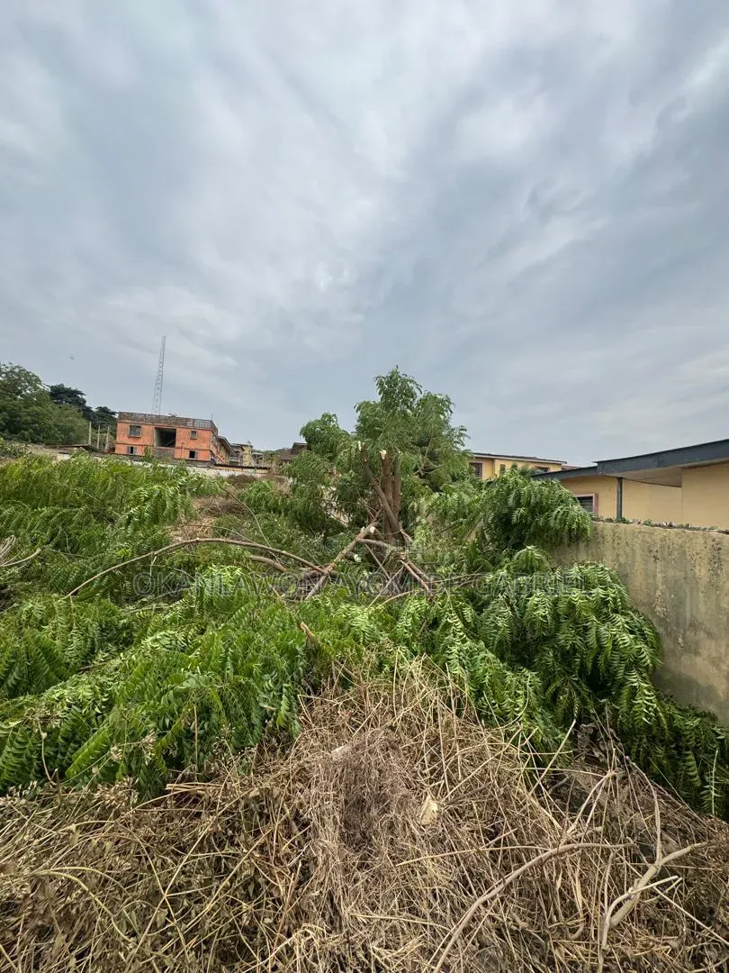 1300sqm Commercial Plot | Ibadan