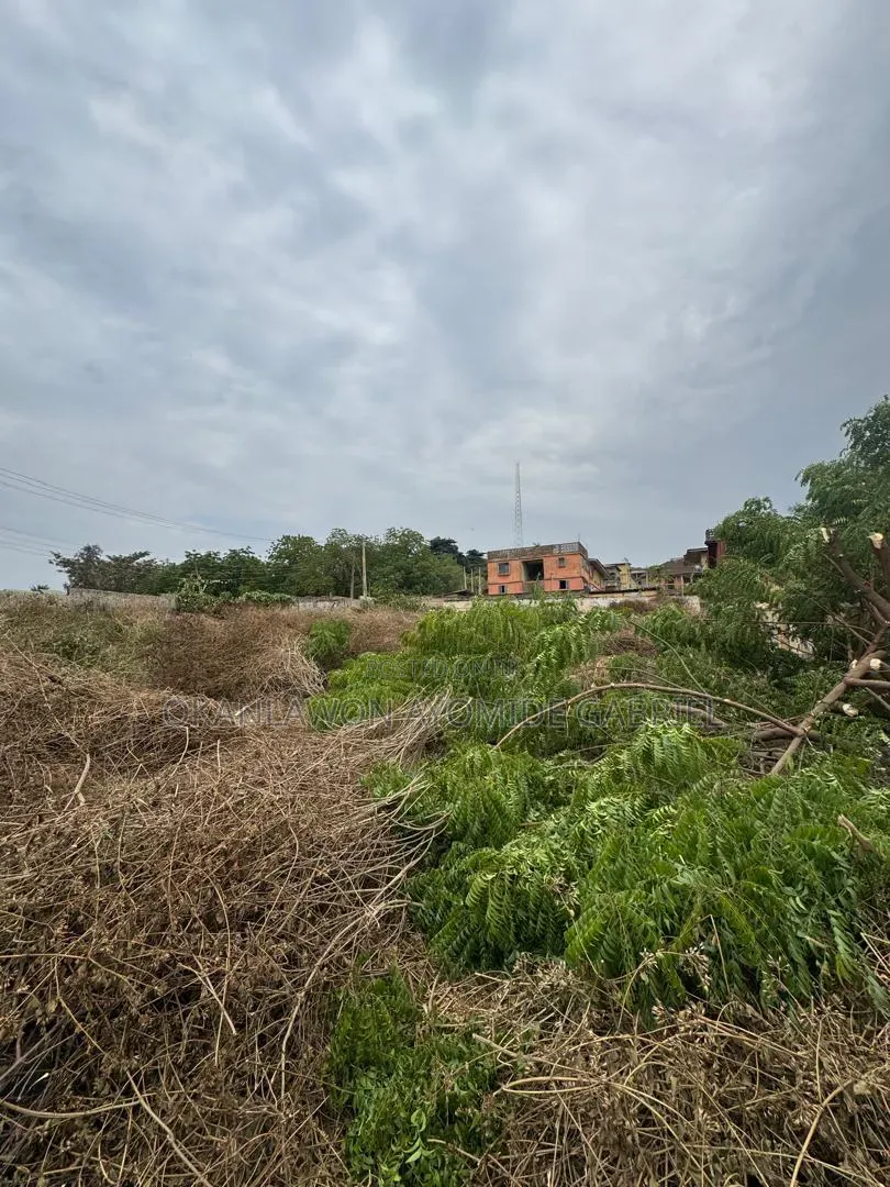 1300sqm Commercial Plot | Ibadan