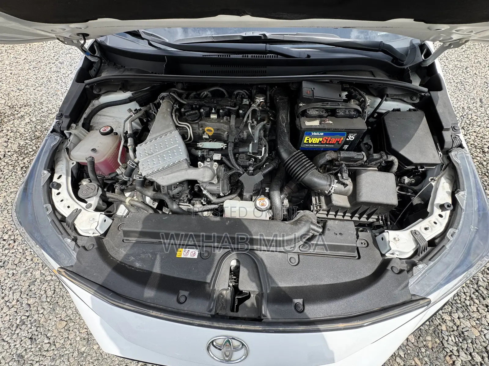 Toyota Corolla 2022 White