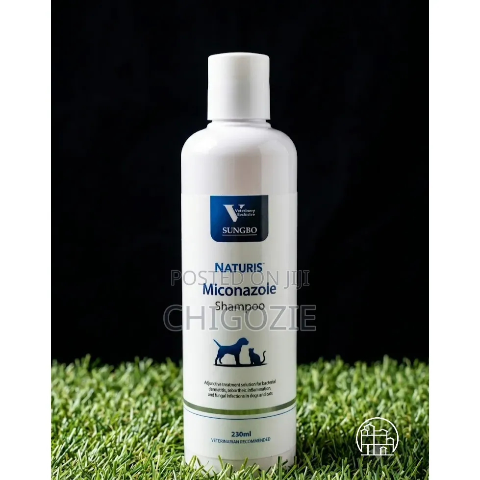 Skin Care Shampoo for Your Dog Rashes, Hairs