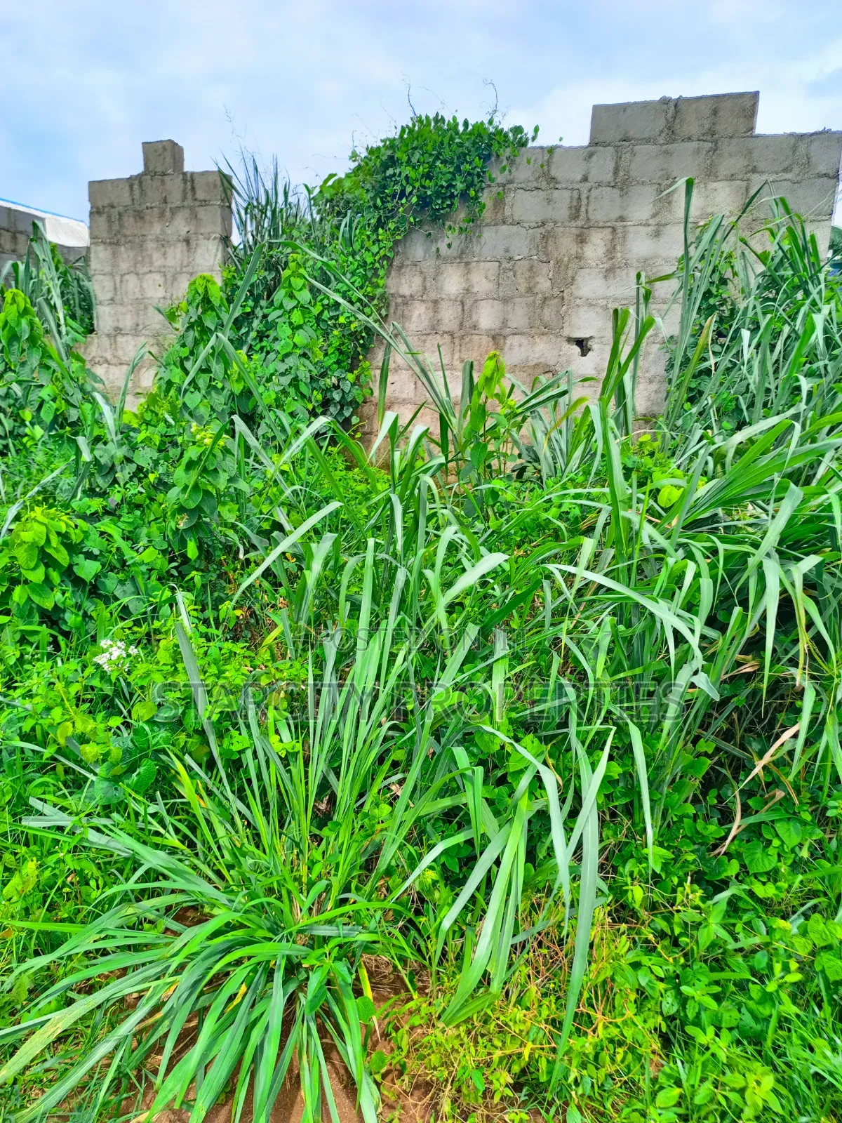 Plots of Land for Sale in Ijagemo Close to Ijegun for Sale