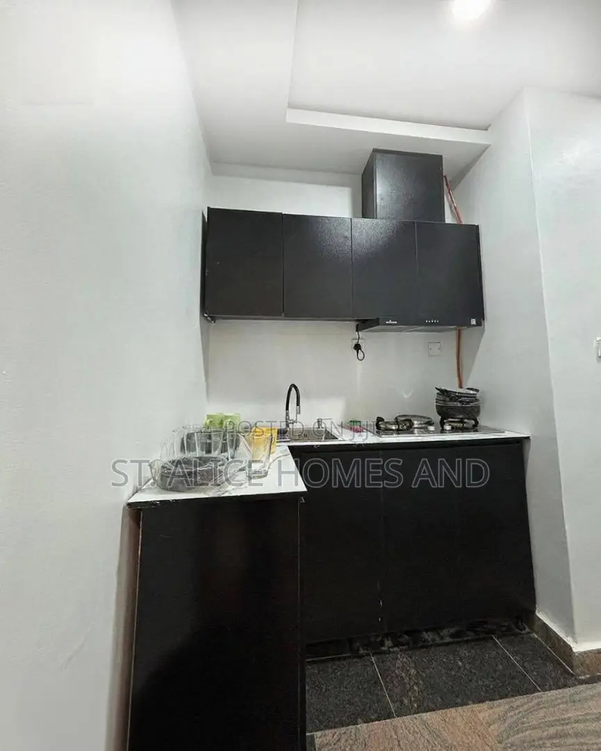 Cactus Sahel 1 Bedroom Apartment, Lokogoma District, Abuja