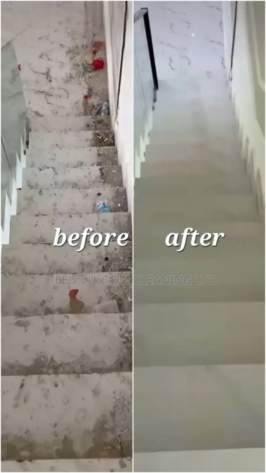 Professional Cleaning and Fumigation Services