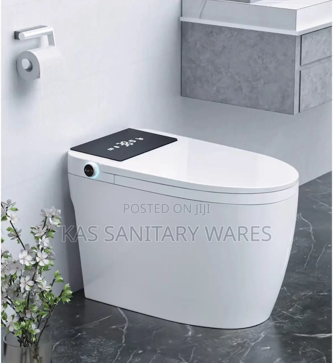 Censor Water Closet With Remote Control and Voice Control