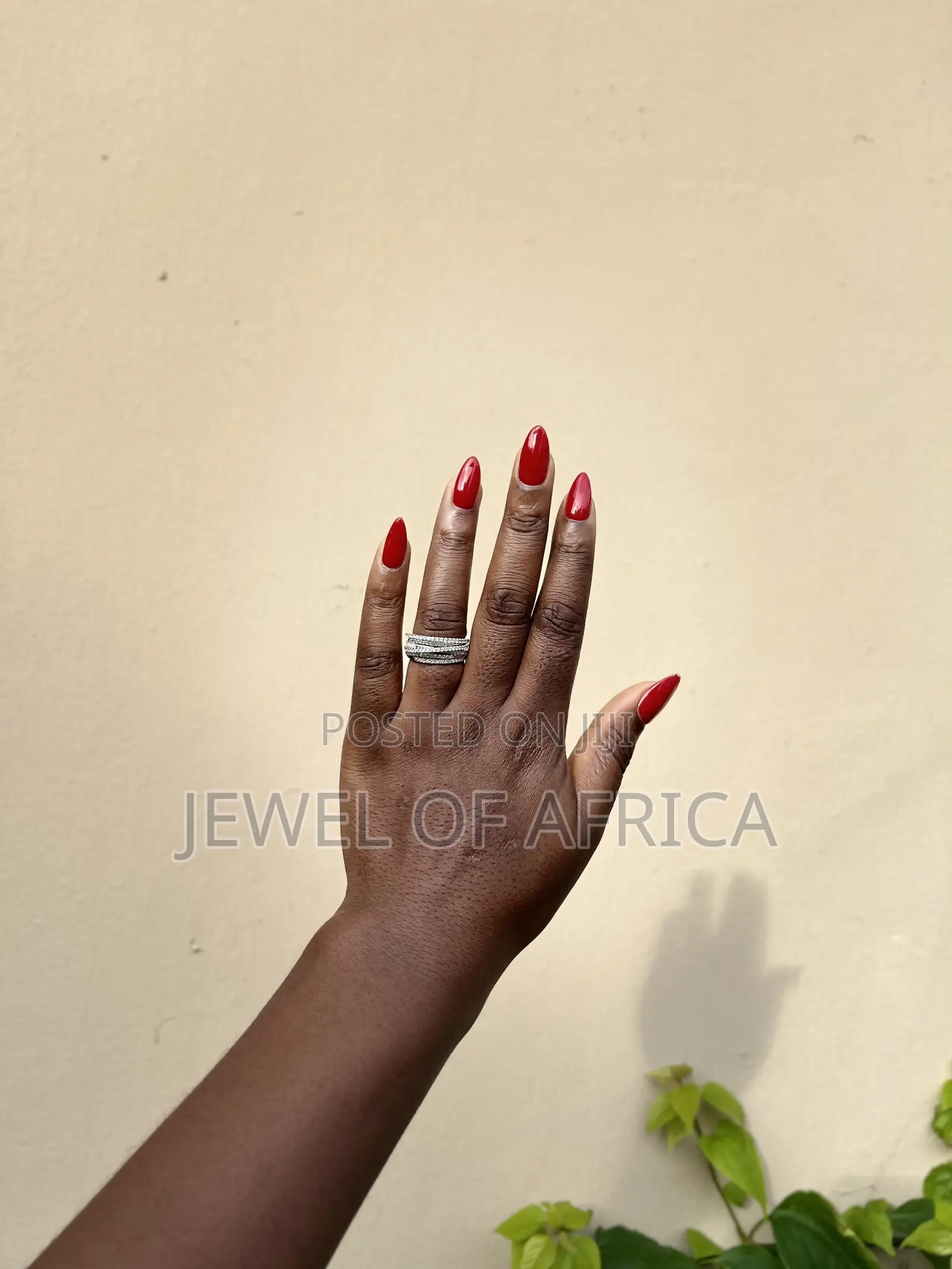 S925 Sterling Silver Ring