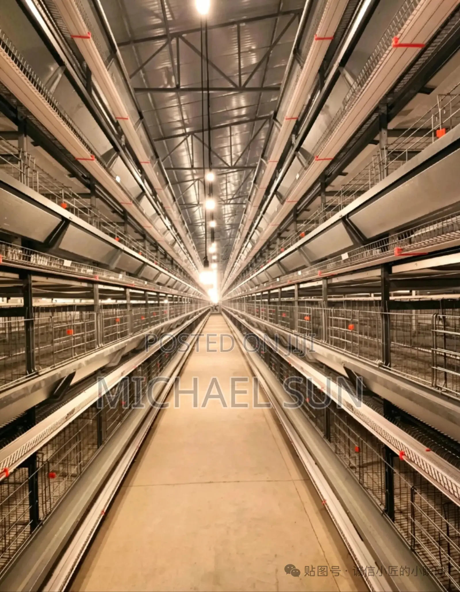 Battery Cages Poultry Cage Farming Cages