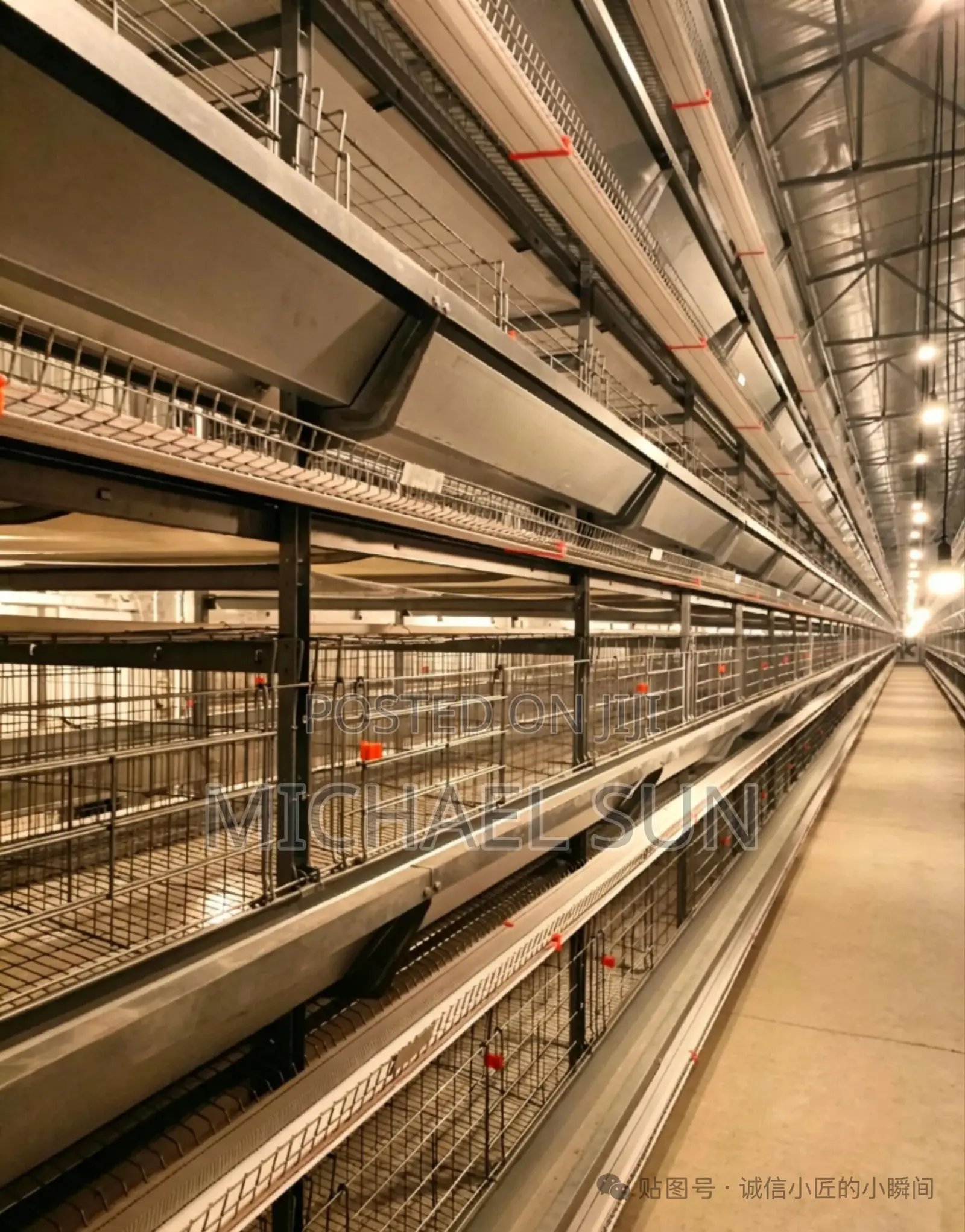 Battery Cages Poultry Cage Farming Cages
