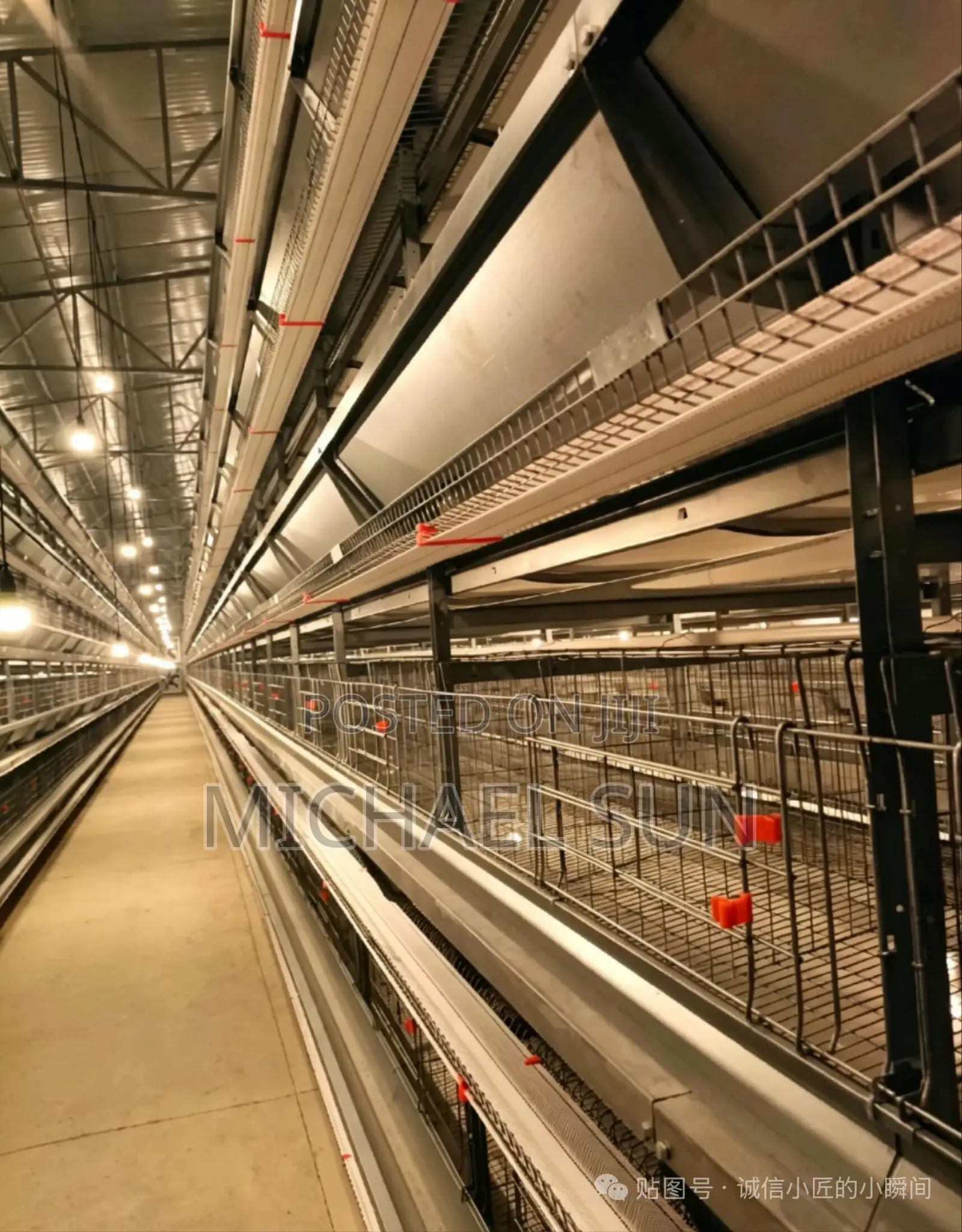 Battery Cages Poultry Cage Farming Cages