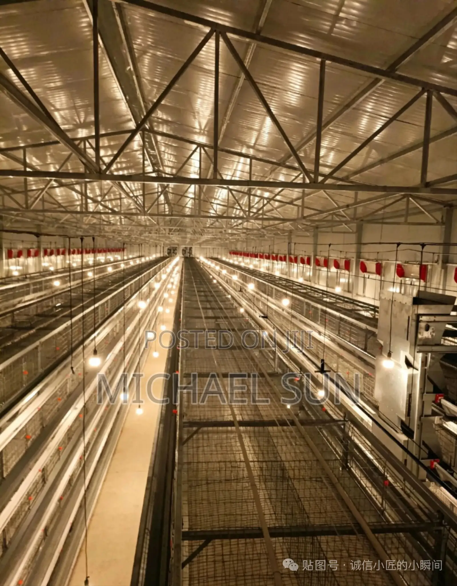 Battery Cages Poultry Cage Farming Cages