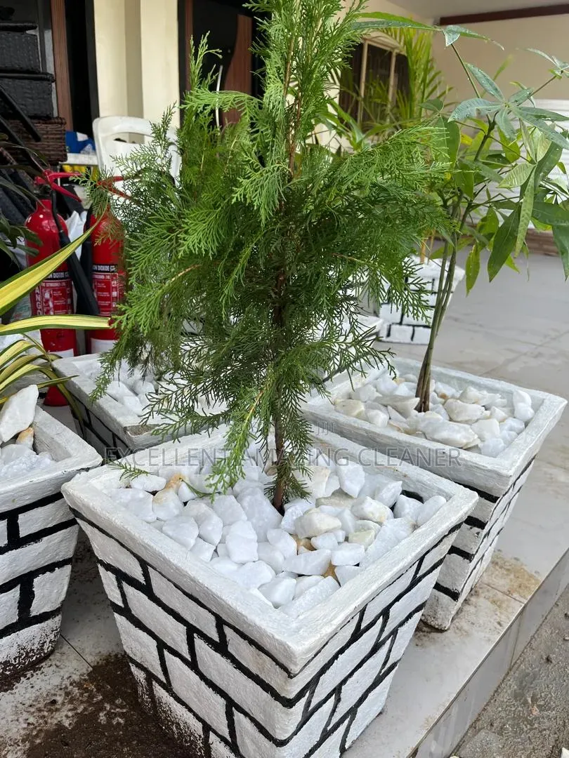 Excellent Amazing Flowriculture Service