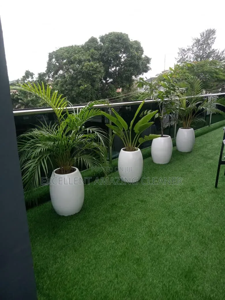 Excellent Amazing Flowriculture Service