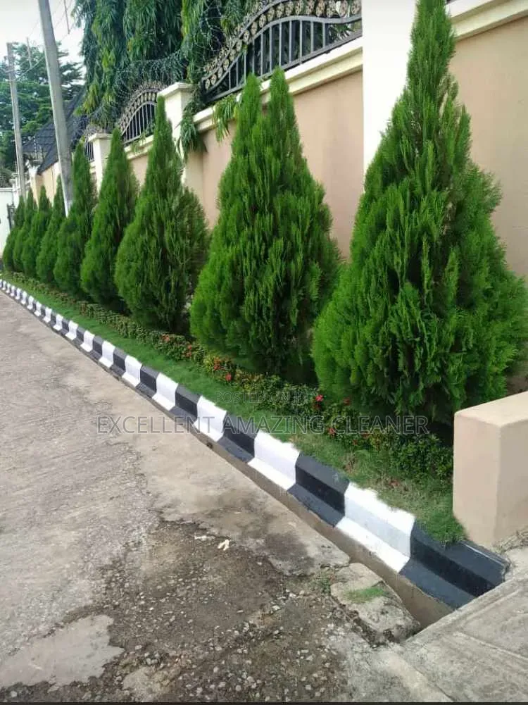 Excellent Amazing Flowriculture Service