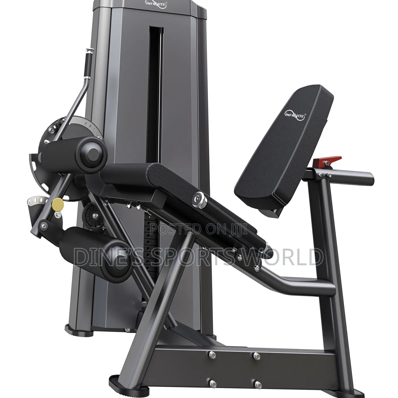 Infinite High Quality Leg Curl Leg Extension