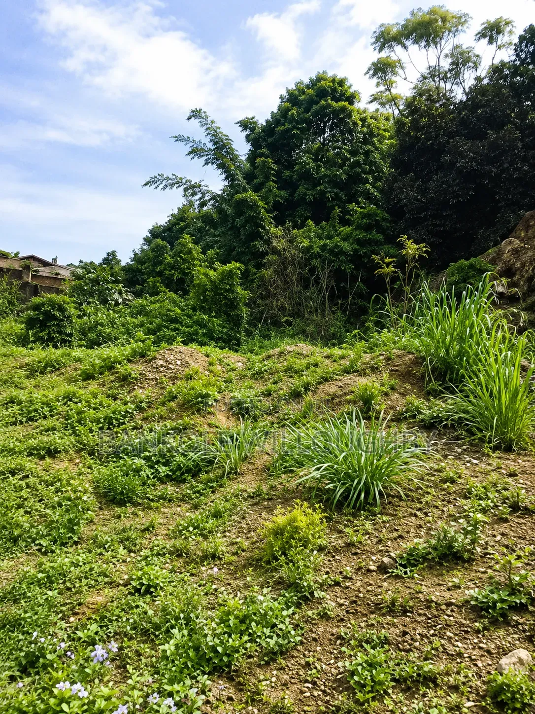 Prime 8.5 Plots Of Land For Sale In Sanyo, Ibadan