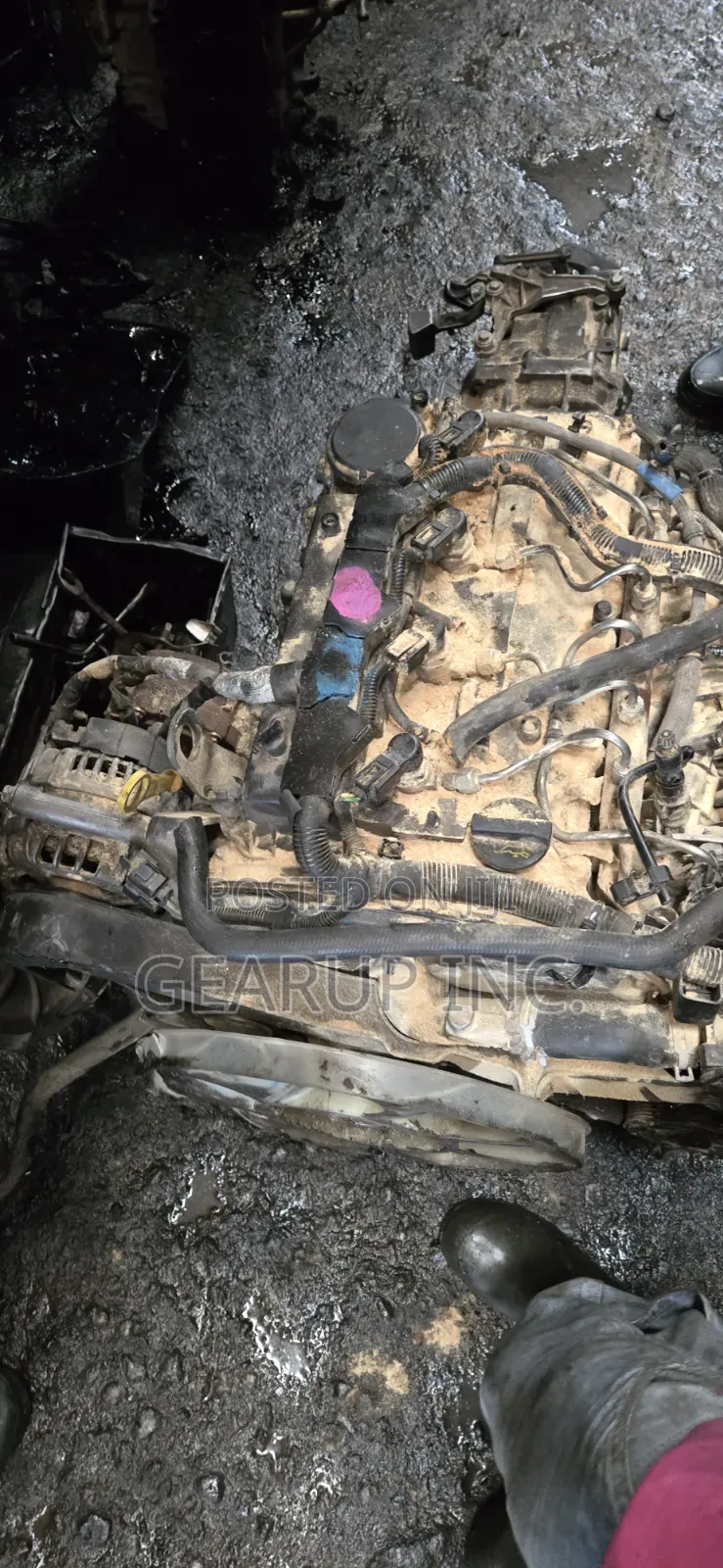 Engine for Ford Everest (Diesel) Tested