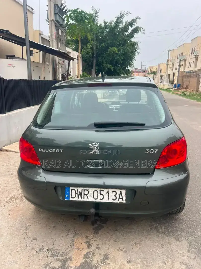 Peugeot 307 2007 Gray