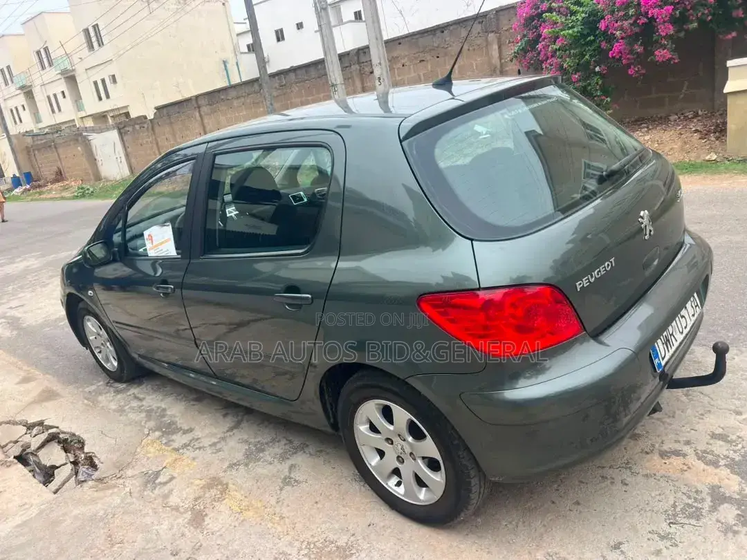 Peugeot 307 2007 Gray
