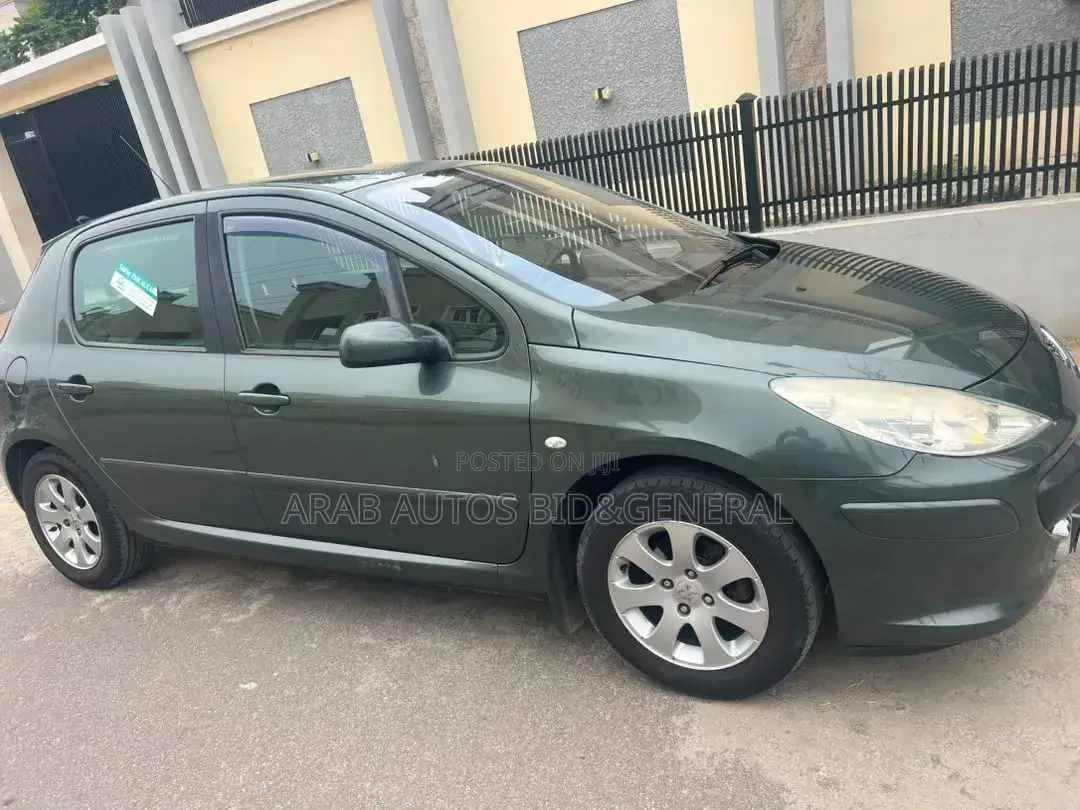 Peugeot 307 2007 Gray