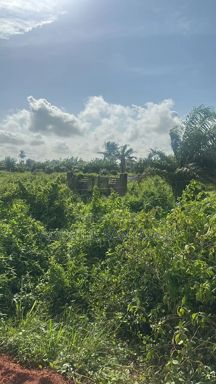 One Acre Of Land Facing The Express On Ikorodu-itokin Road