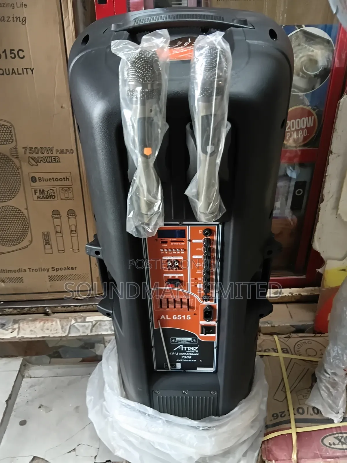 Amaz Multimedia Public Address Pa System Trolley Speaker Box