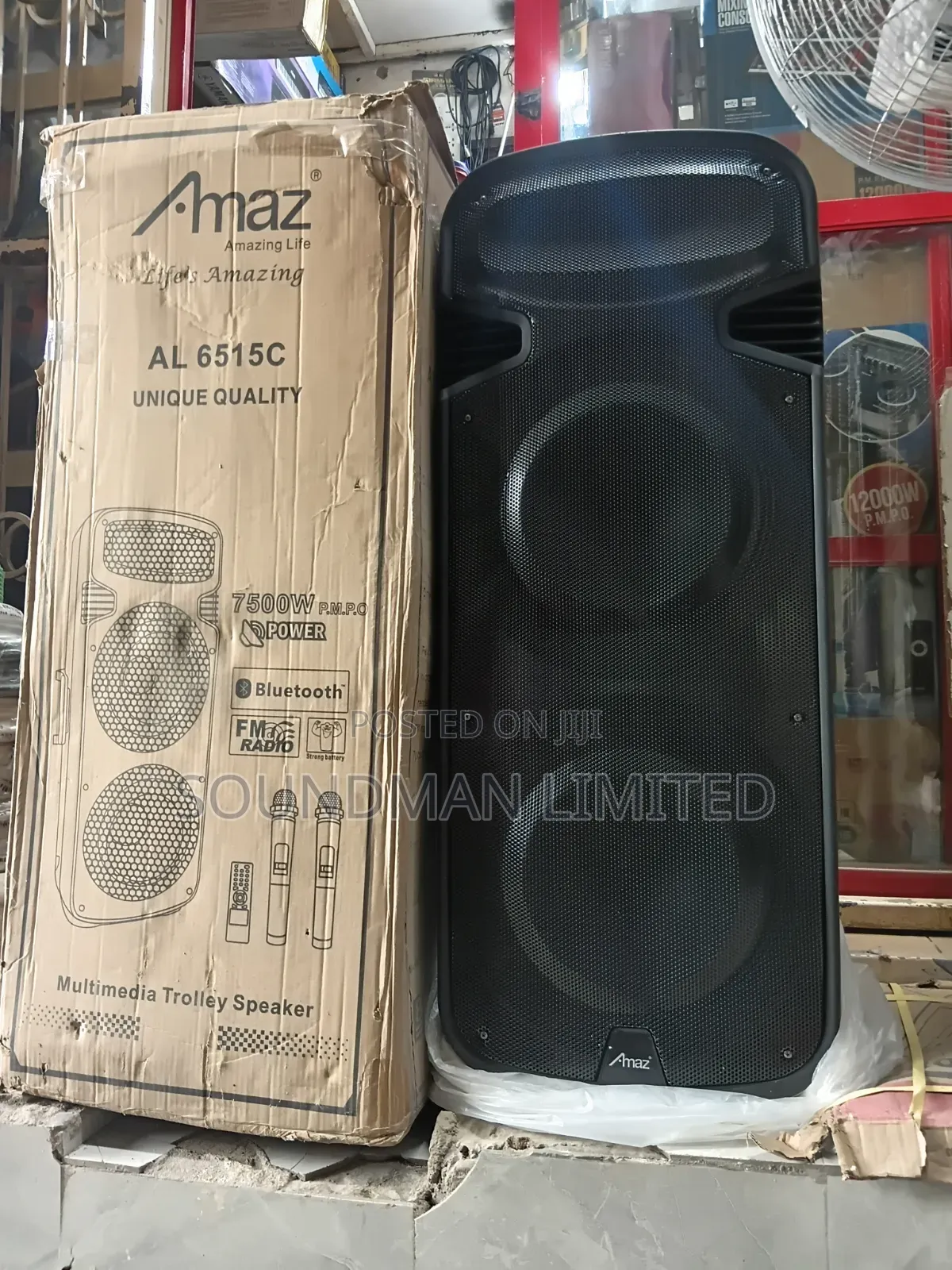 Amaz Multimedia Public Address Pa System Trolley Speaker Box