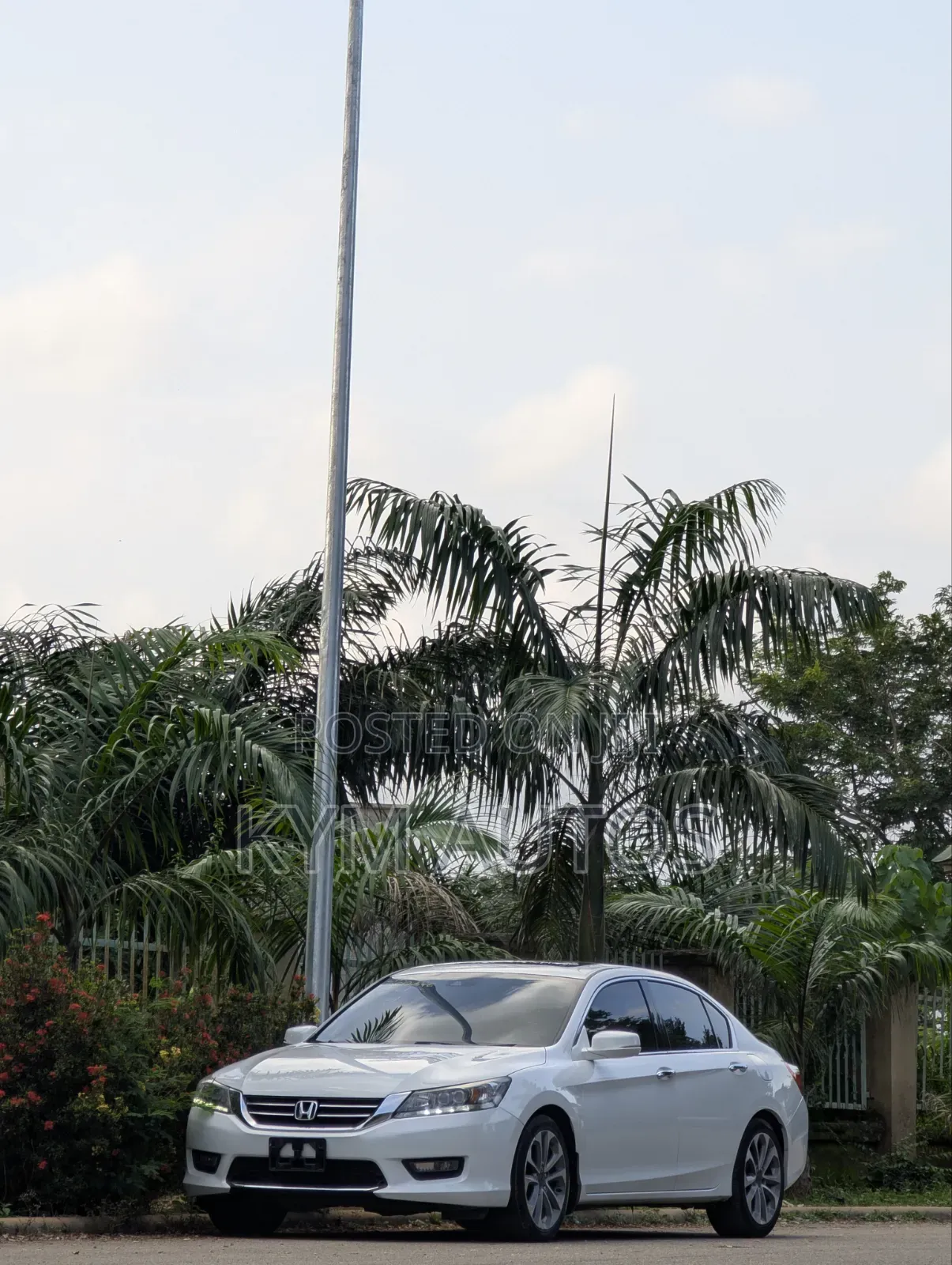 Honda Accord 2014 White