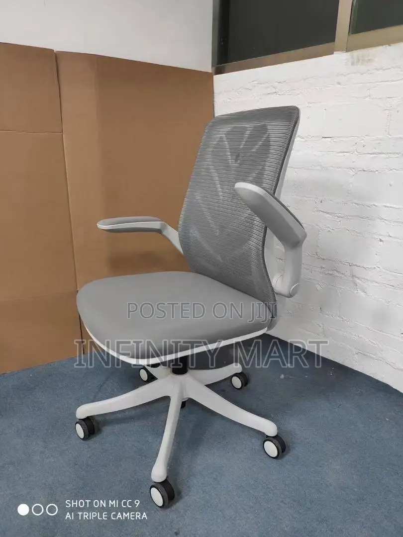 High End Ergonomic Chair