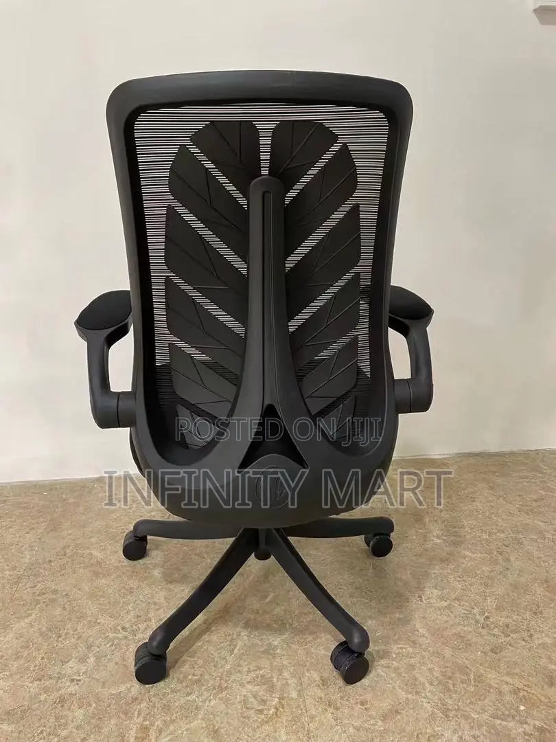 High End Ergonomic Chair