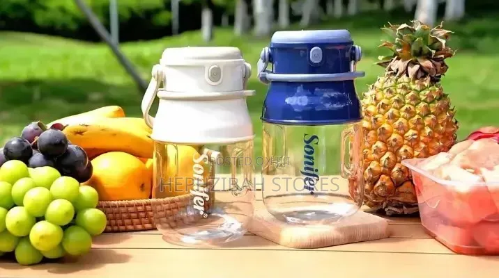 Sonifer Juice on the Go Portable Rechargeable Blender Juicer Cup