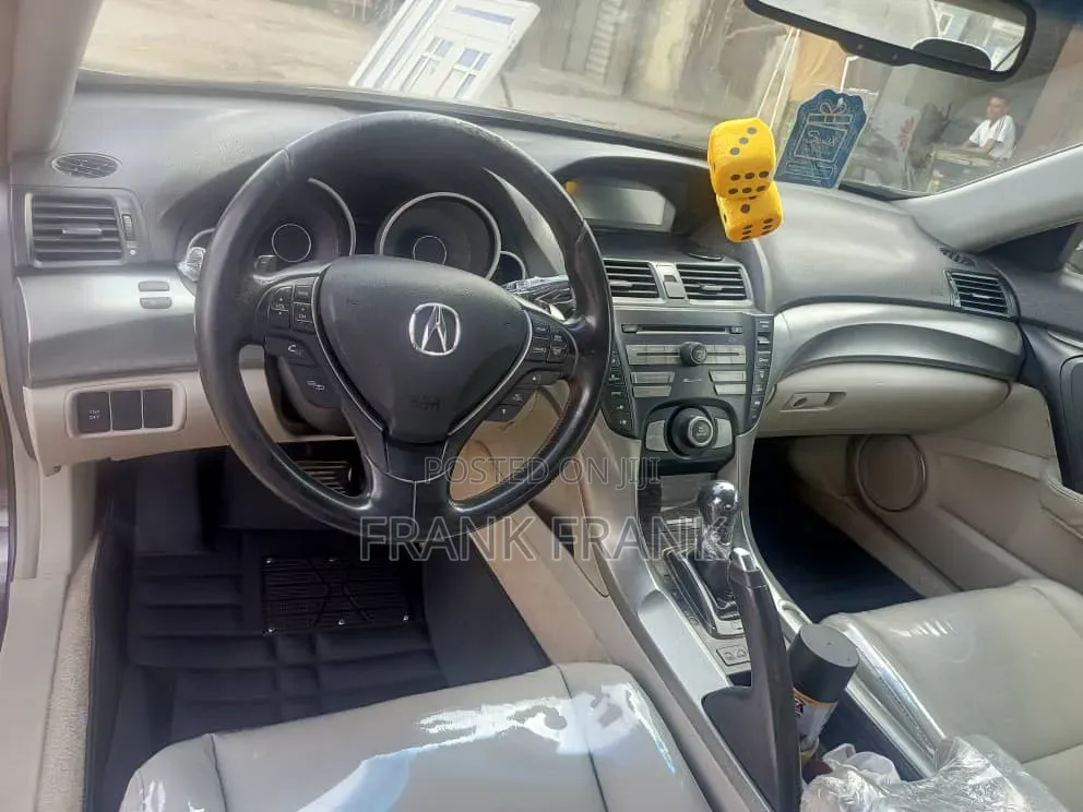 Acura TL 2009 Gray