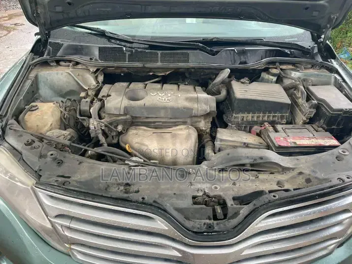 Toyota Venza 2010 Green