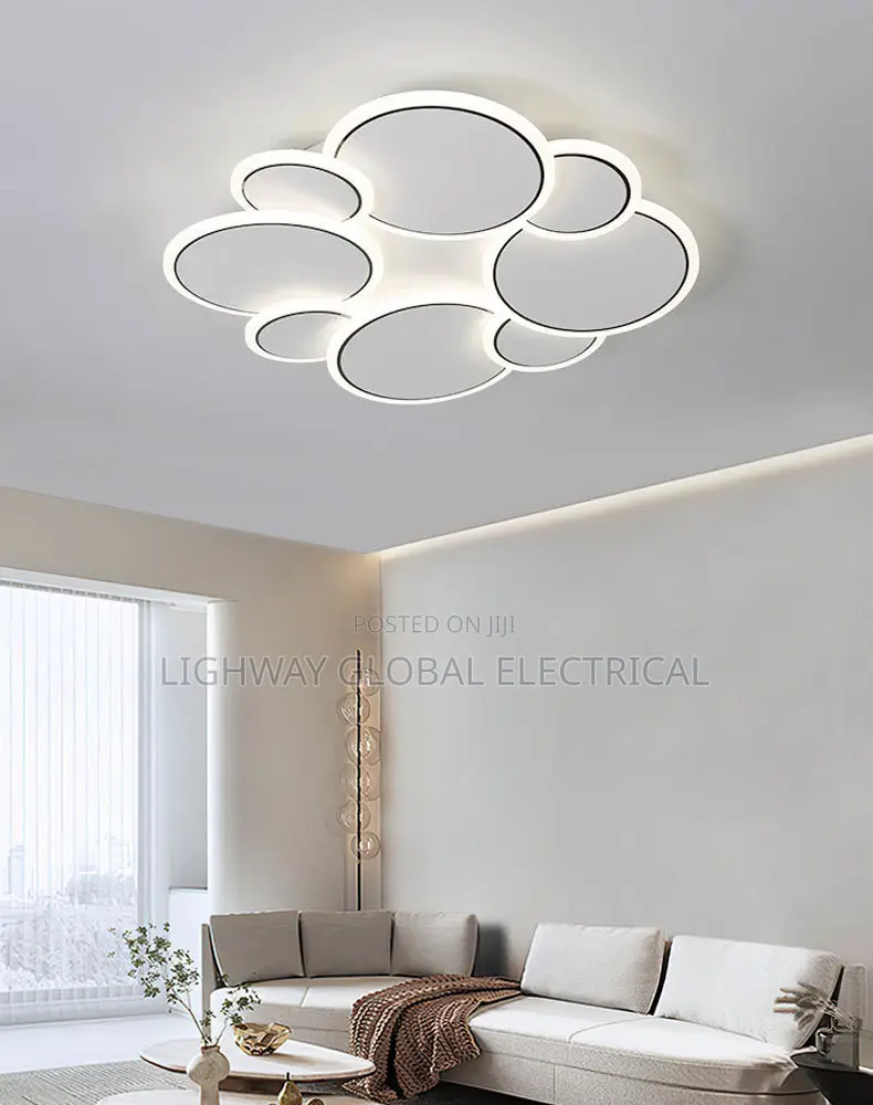 Nordic White Ceiling Flosh Chandelier