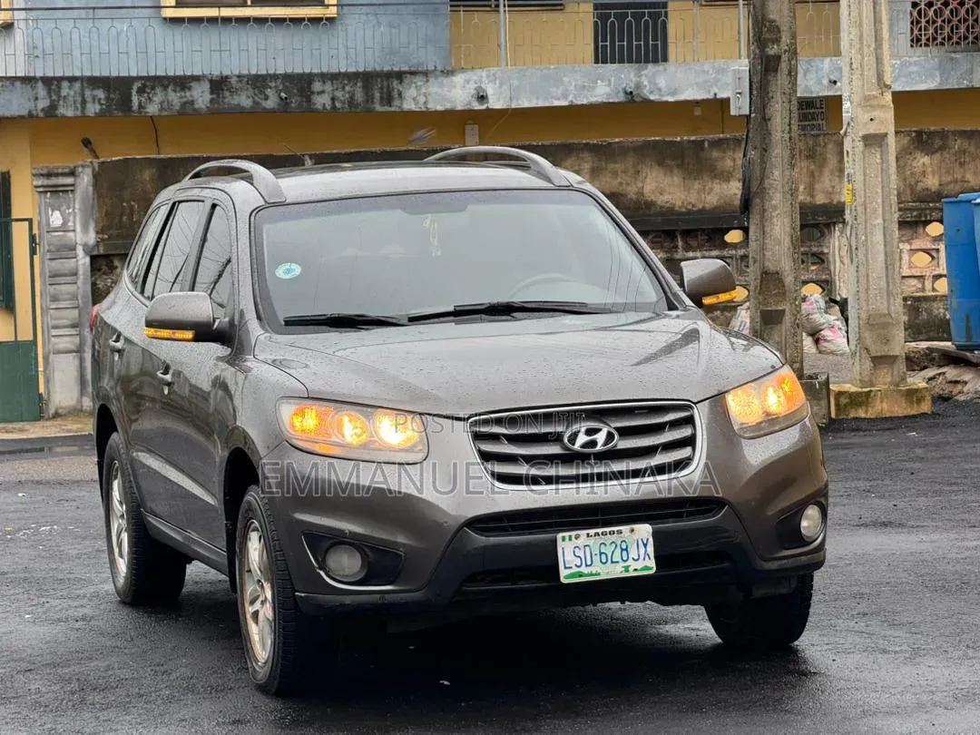 Hyundai Santa Fe 2010 Gray