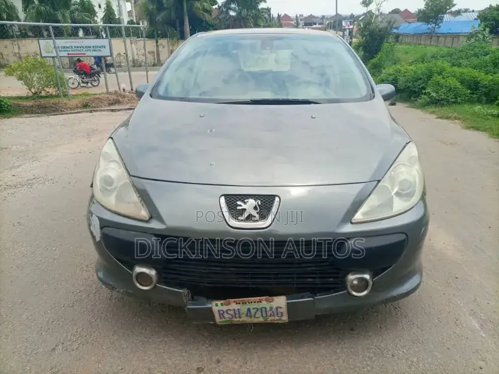 Peugeot 307 2007 Gray