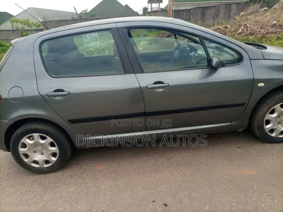 Peugeot 307 2007 Gray