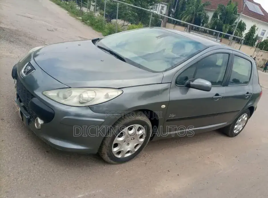 Peugeot 307 2007 Gray