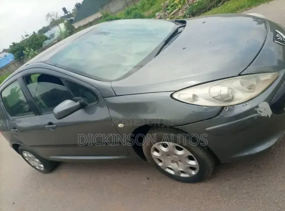 Peugeot 307 2007 Gray