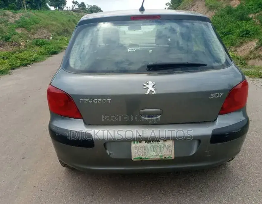 Peugeot 307 2007 Gray