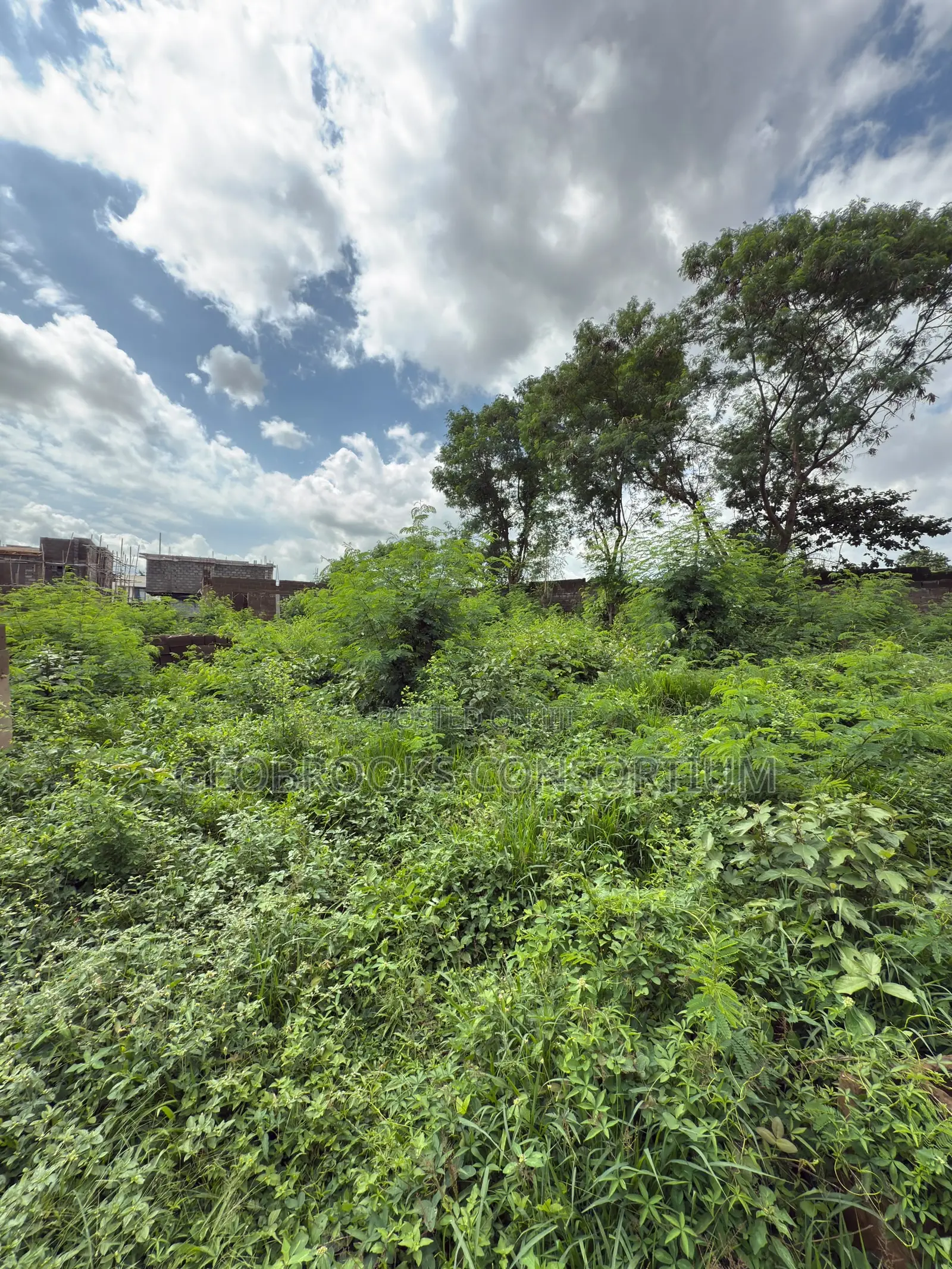 Premium 780sqm Residential Plot – Carlton Gate Estate.