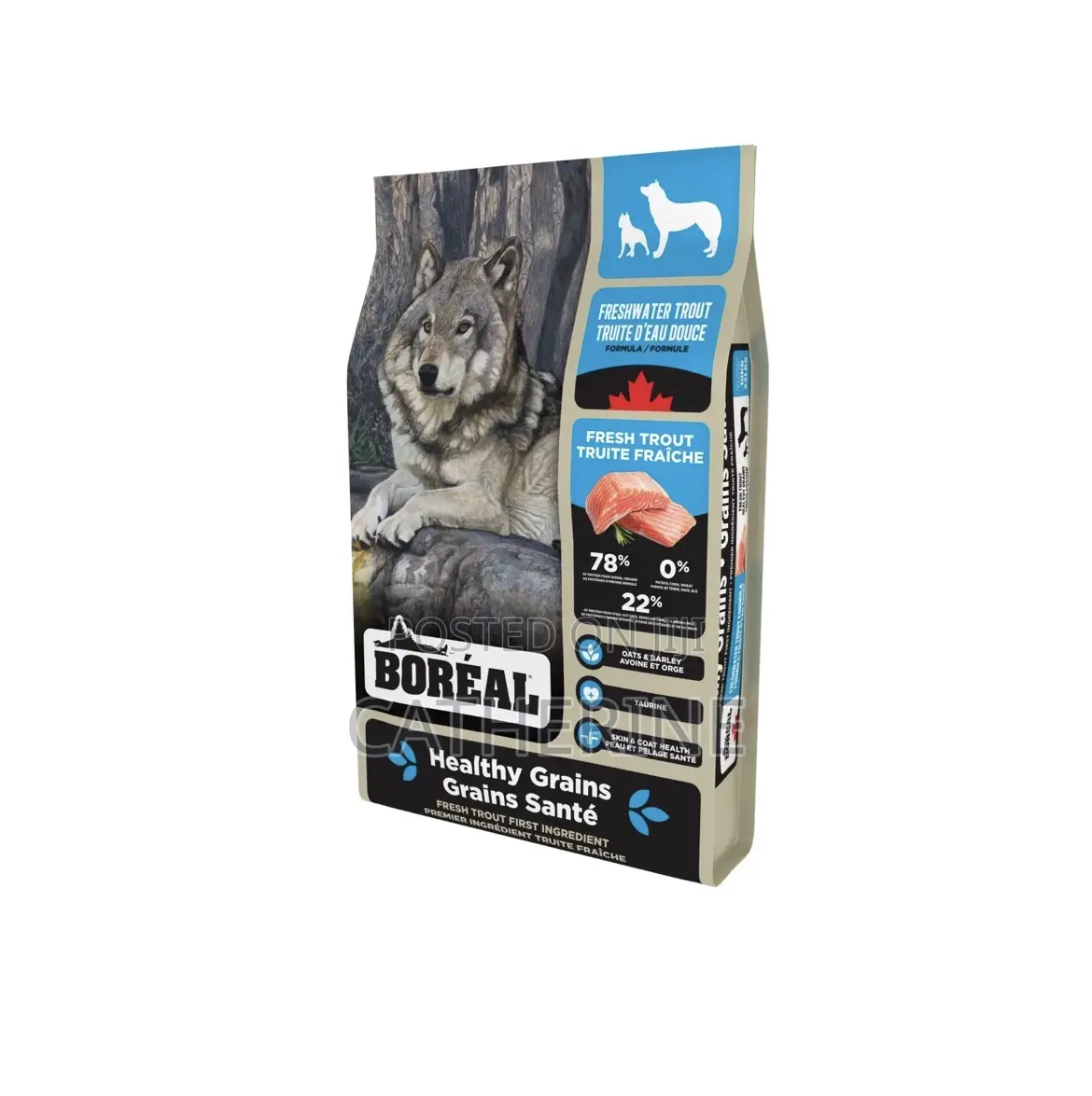 Boreal Healthy Grains Fresh Water Trout Formula