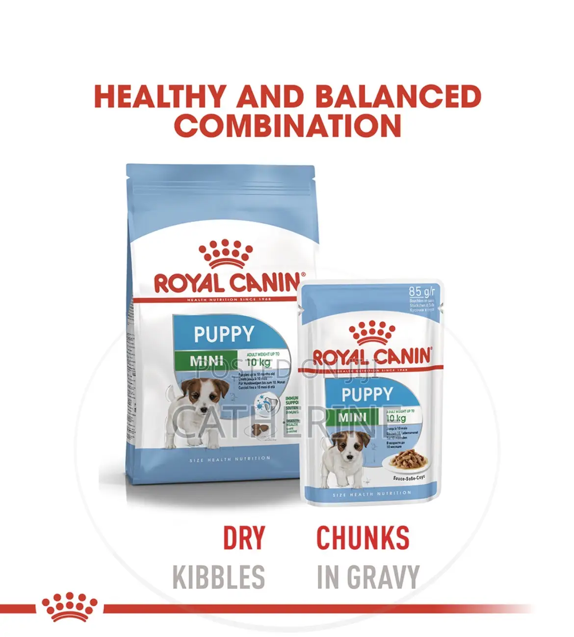 Royal Canin Mini Puppy Pouch