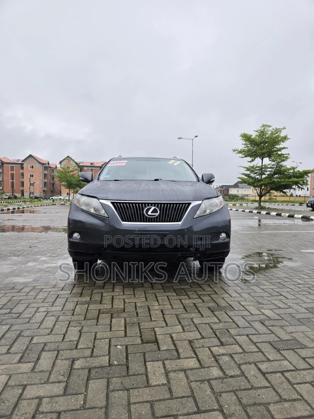 Lexus RX 2010 Gray