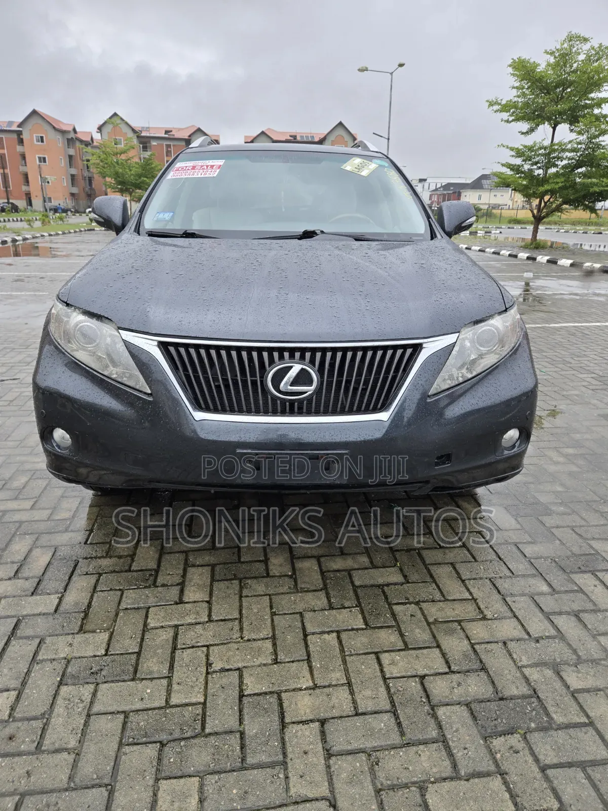 Lexus RX 2010 Gray
