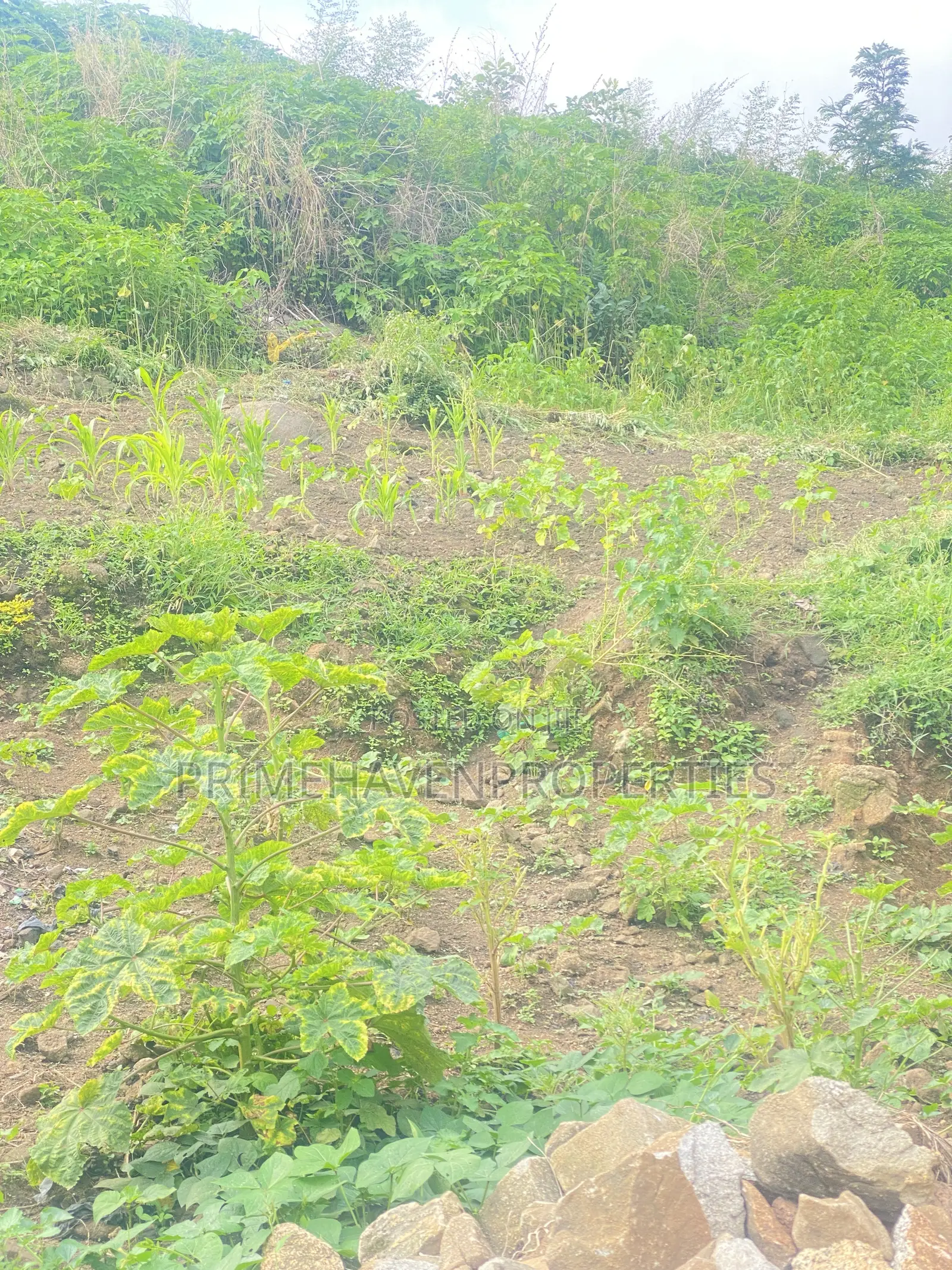 Land for Sale at Arab Road, Kubwa Abuja